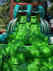 IMG 4307 1746764711 XL Dino Combo bounce house wet/dry